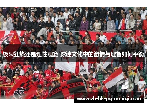 极限狂热还是理性观赛 球迷文化中的激情与理智如何平衡