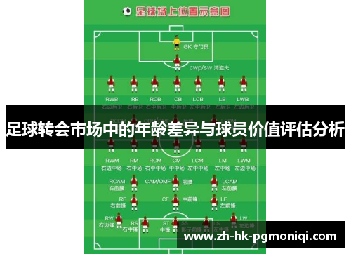 足球转会市场中的年龄差异与球员价值评估分析